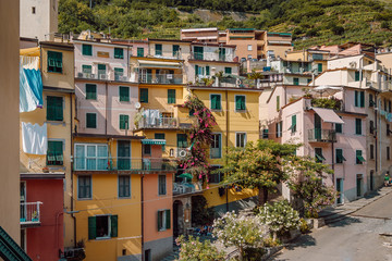 Fototapeta na wymiar Old houses with colorful facades with warm colors, windows and balconies with suspended laundry and blooming summer shrubs in the traditional Italian village of Riomaggiore, Cinque Terre, La Spezia.