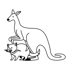 kangaroo and tasmanian devil on white background