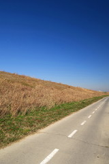 早春の朝の江戸川サイクリング道路と土手風景