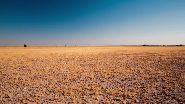 Static timelapse of vast open arid landscape, salt pans with barren view and patches of dry golden grass, late afternoon/sunset, dip to black, Botswana, Central Kalahari, Africa.