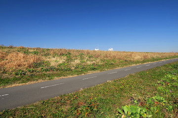 早春の朝の江戸川サイクリング道路風景