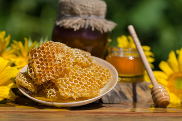 Sweet honey honeycomb. Honey with honey dipper