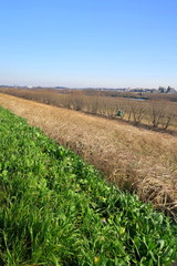 早春の江戸川土手と河川敷風景
