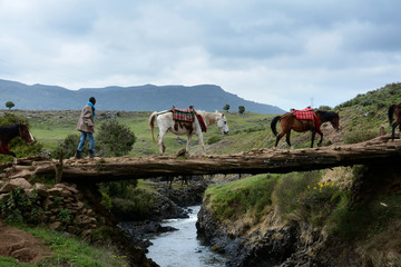 bale mountains natinalpark in southern ethiopia