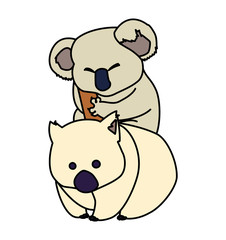 koala and wombat on white background