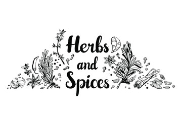 Herbs and spices composition with lettering. Linear hand-drawing objects. Vector illustration isolated on white background