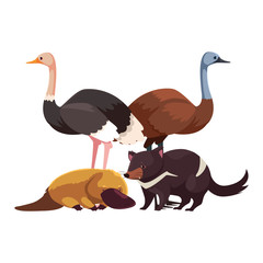 animals of australia on white background