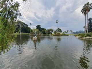 lake in the park