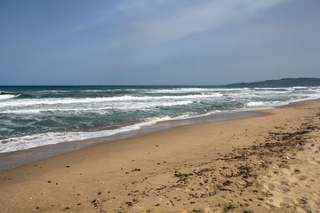 Fototapeta na wymiar Sandy beach in the north of Sardinia, Italy