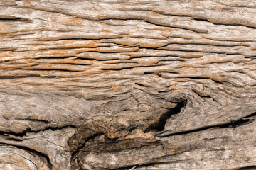 close up of abstract wooden texture