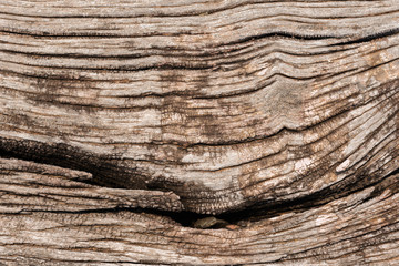 close up of abstract wooden texture