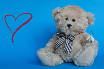 Cute teddy bear holding a snowdrop, with red hearts on background for Valentine's Day and love celebrations