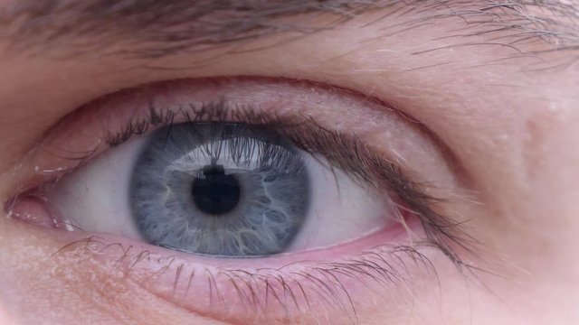 Human Blue Eye Opening & Dilating and Staring Into Camera, Extreme Close-up
