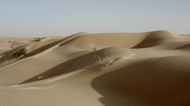 Deserto del Sahara