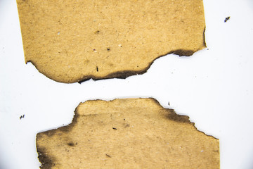 Burnt Pieces of Vintage Paper can be used in design. Old paper with burnt edges on white background.