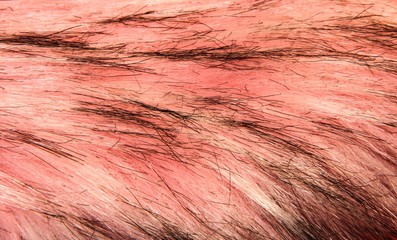 Artificial pink fur with black hairs