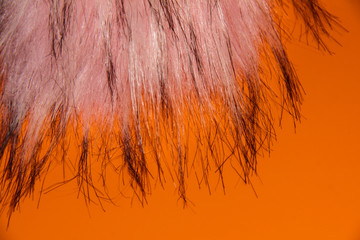 Obraz premium Artificial pink fur on an orange background.