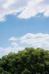 White cloud with blue sky background and green trees Vertical scene background