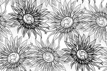 Sunflowers line art - seamless pattern