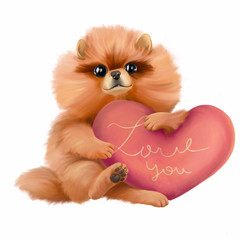 Red dog breed Spitz. Cute puppy with a heart in its paws. The illustration is isolated on a white background. valentine - 321036666