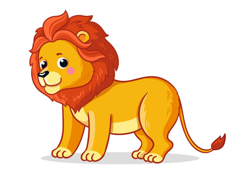 Cute young lion stands on a white background.