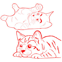 vector illustration of some kittens