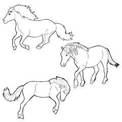 vector illustration of some horses