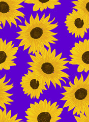 Sunflowers on blue - seamless pattern