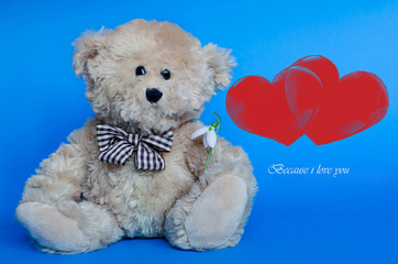 Cute teddy bear holding a snowdrop, with red hearts on background for Valentine's Day and love celebrations