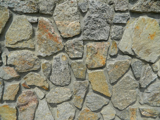 nature in the city summer park