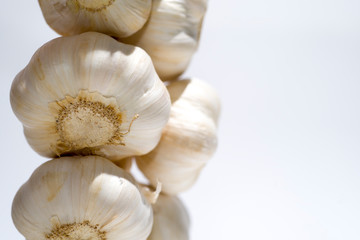 Garlic Bulb on White Background.