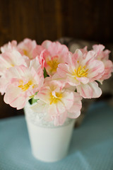 Bouquet of tulips with pink and white petals in white metal vase. Waiting for spring