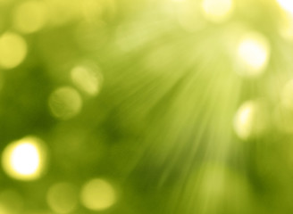 Obraz premium abstract background spring green yellow blurred forest