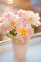 Bouquet of tulips with pink and white petals in white metal vase at sunlight. Waiting for spring