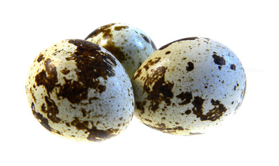 Obraz premium egg isolated on white background