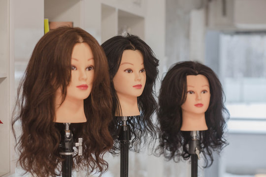 training material for professional hairdressers from hair of different colors and quality