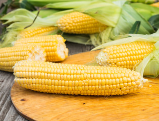Maize. Fresh Corn on wooden table