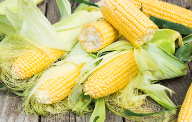 Maize. Fresh Corn on wooden table