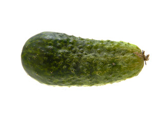 cucumber isolated on white background