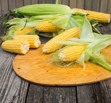 Maize. Fresh Corn on wooden table