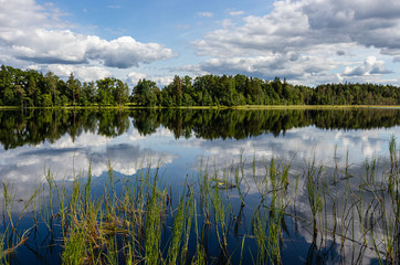 Wonderful landscape with lake on a sunny summer day. Blue sky with cumulus clouds, forest on the other side reflected in calm water. Latvia.