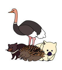 animals of australia on white background