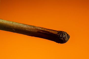 Burned match in the coals on Lush Lava background. close up copy space