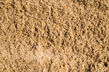 light brown sea sand for background