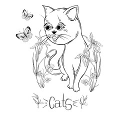 graphic cat with wildflowers with insects