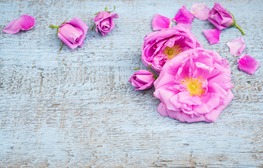 Pink Roses and Petals on an shabby wooden table. Vintage Floral background. Copy space