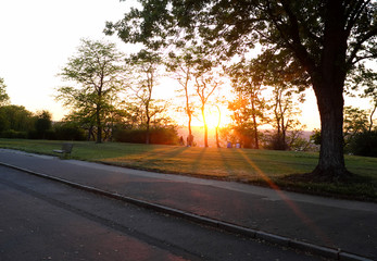 Fototapeta premium Golden sunset shining through trees in a peaceful public park with walkway.