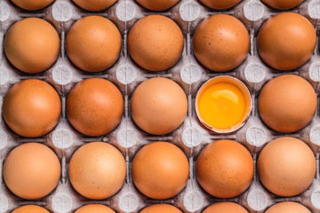 Chicken eggs in carton box - Top of view
