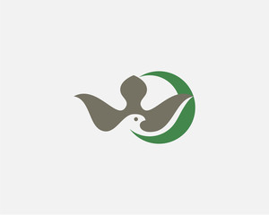Abstract bird crescent premium logo icon design minimal style illustration. Eagle falcon hawk vector emblem sign symbol logotype
