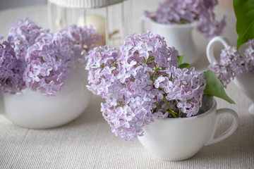 Room interior with gentle purple lilacs flower blossom in tea cups and birdcage on table, tender romantic spring home decor in morning light, decorating house with syringa in porcelain dishes